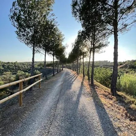Apto. Rural Cielo. Al Lado Torre Jérica Exterior foto