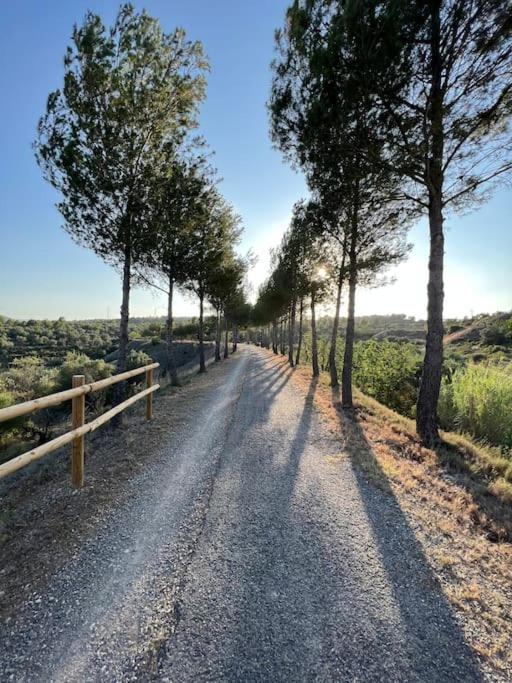 Apartment Apto. Rural Cielo. Al Lado Torre *